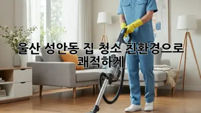 울산 성안동 집 청소✨ 친환경으로 쾌적하게! 🏡